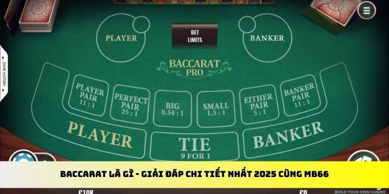 ok365vip gà chọi cu cần