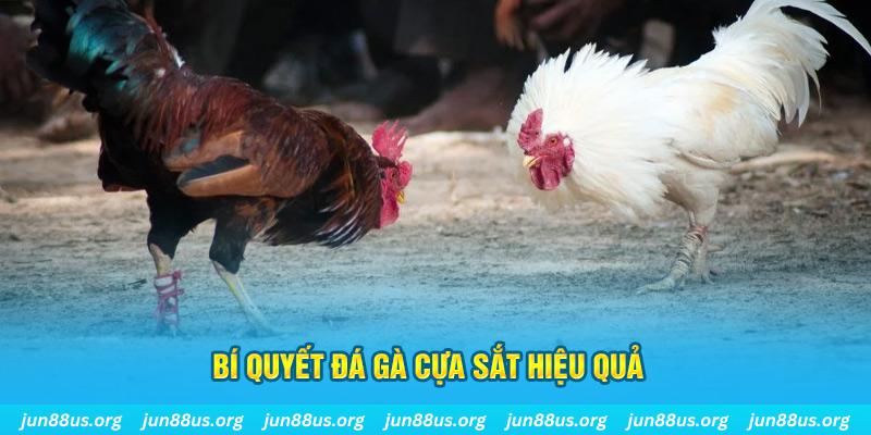 ok365vip xin 1 slot là gì