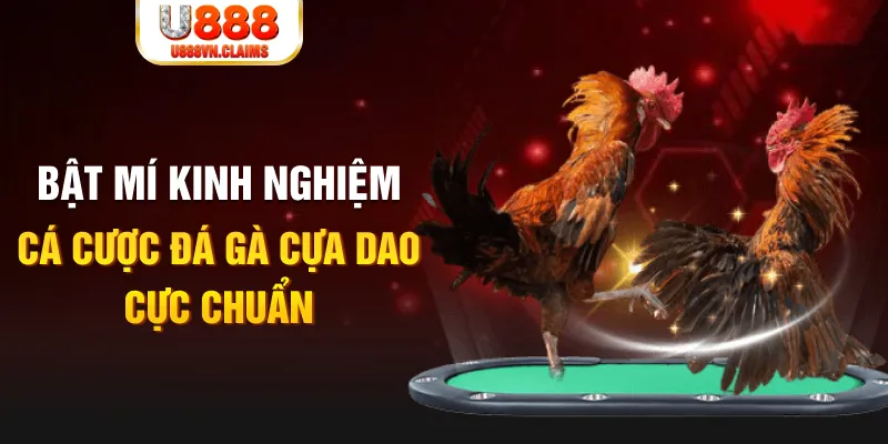 ok365vip tỷ lệ cá cược châu á là gì