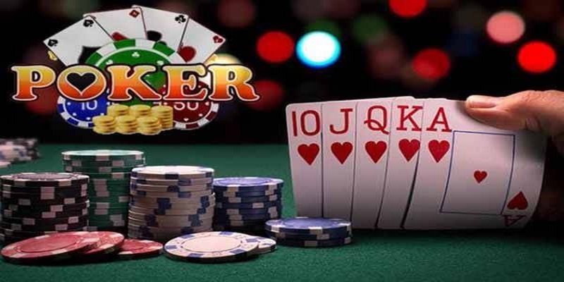 ok365vip đá gà thomo trực tiếp