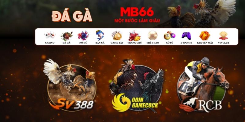 ok365vip đăng nhập poker số 1