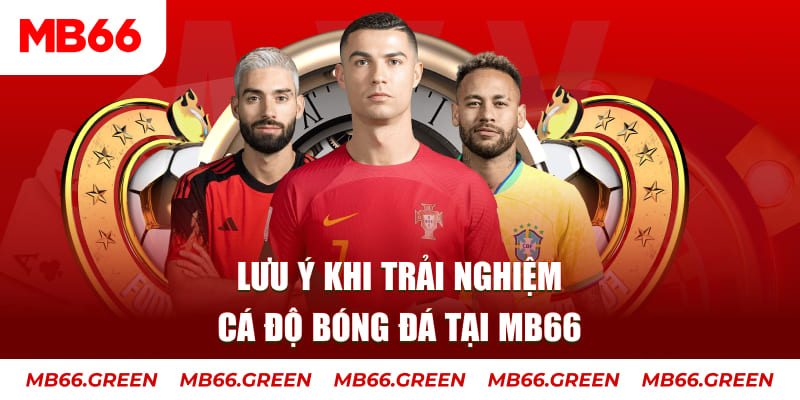 ok365vip cá cược là gì