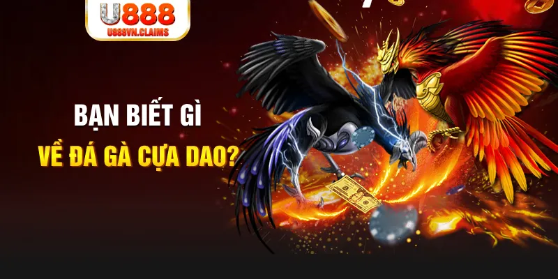 ok365vip nổ hủ là gì