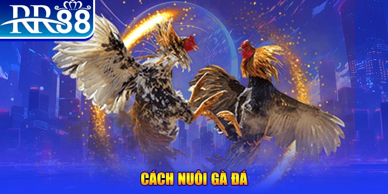 ok365vip xổ số an giang