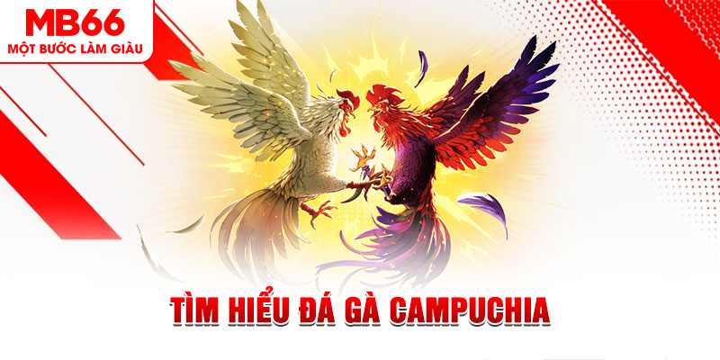ok365vip game đánh bài trên máy tính
