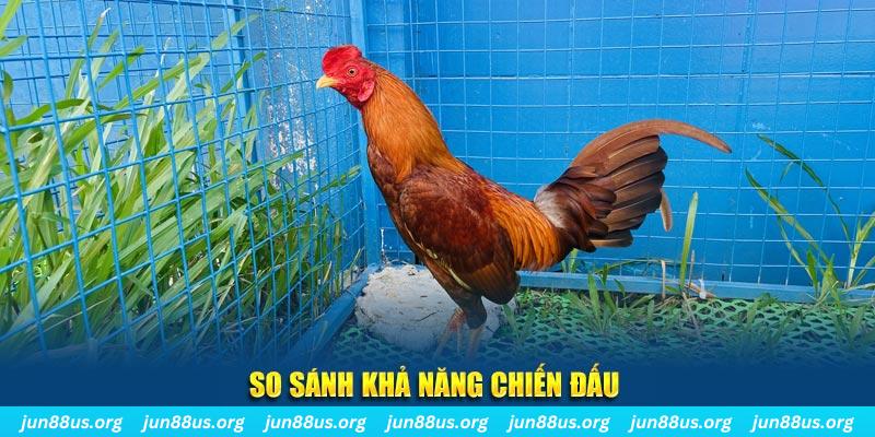 ok365vip tai game dau bai yugioh cho may tinh