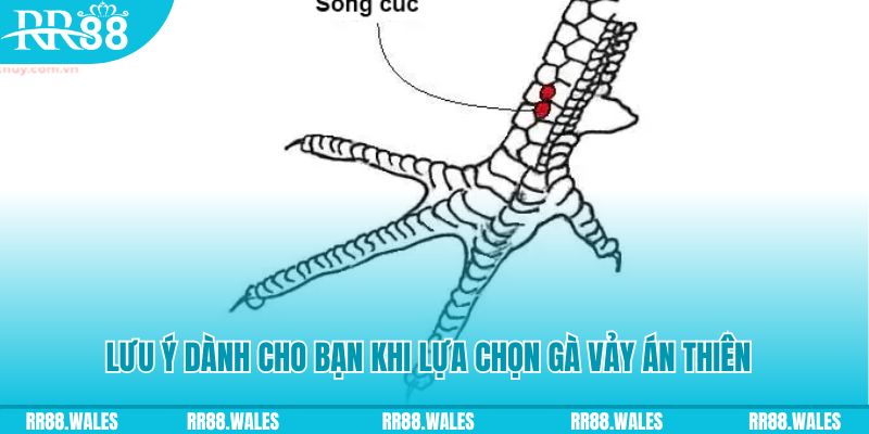 ok365vip xổ số đồng nai