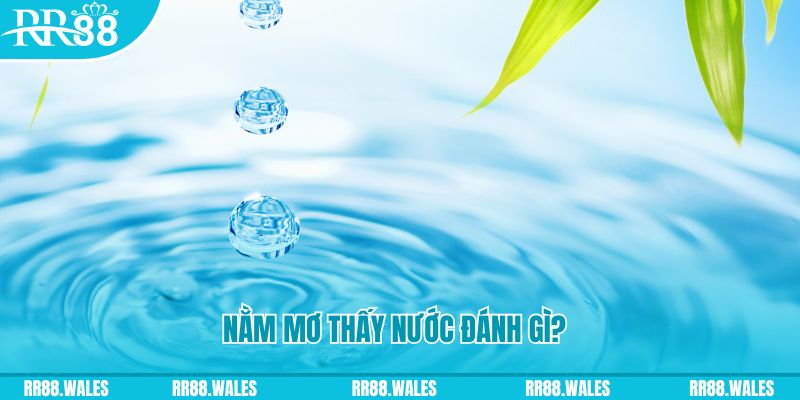 ok365vip TP Bắn cá
