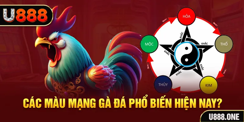 ok365vip trực tiếp đá gà 88
