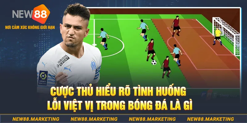 ok365vip long bảo baccarat la gì