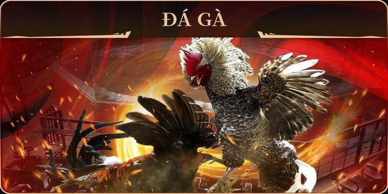 ok365vip xổ số miền nam thứ hai