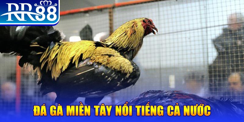 ok365vip JILI Game Bài 3d