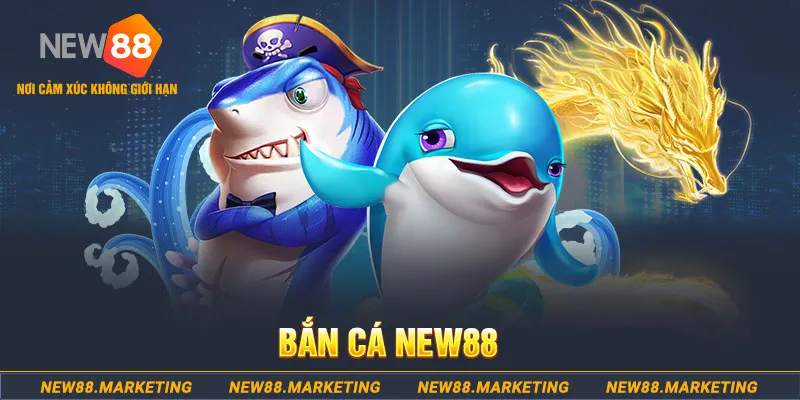 ok365vip ban ca xeng 2