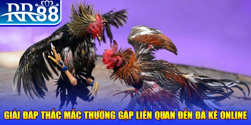 ok365vip xổ số đà lạt