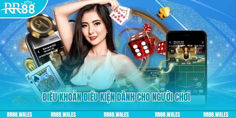 ok365vip casino gồm những gì