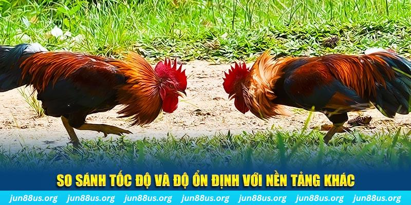 ok365vip đá gà hôm nay