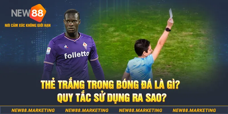 ok365vip gà chọi mộc hóa