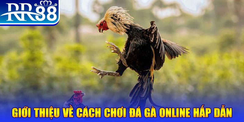ok365vip game nổ hũ rút tiền mặt là gì