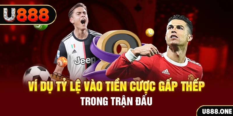 ok365vip kết quả xổ số 30 ngày