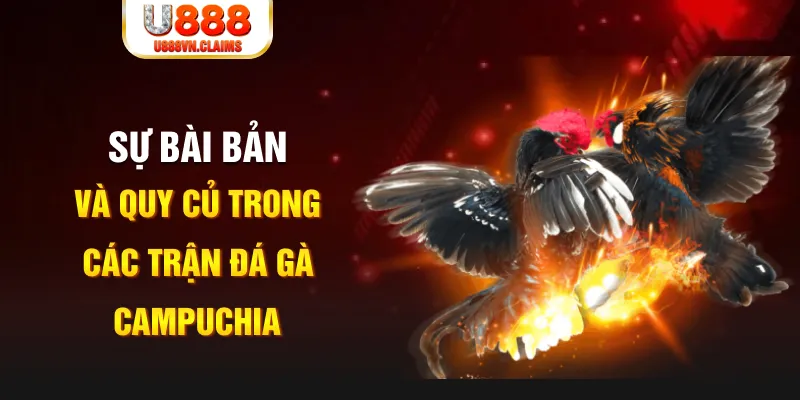 ok365vip YGR Điện Tử