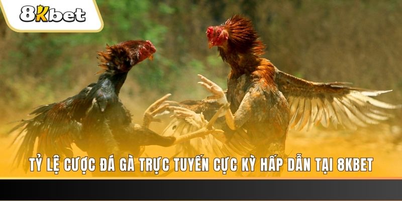 ok365vip đăng nhập phỏm trực tiếp