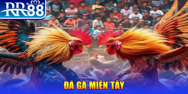 ok365vip đăng nhập nổ hũ