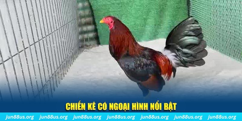 ok365vip chạy quảng cáo cho game bài bị phạt như thế nào