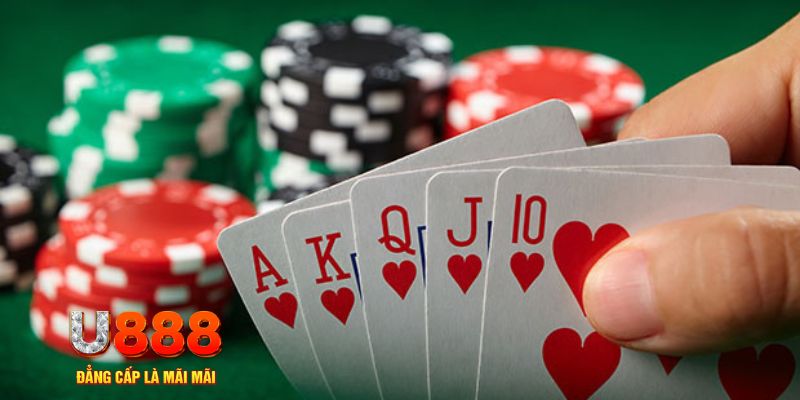 ok365vip đá gà trực tiếp thomo 67