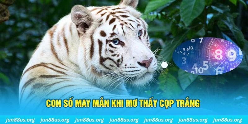 ok365vip đá gà trực tiếp 88